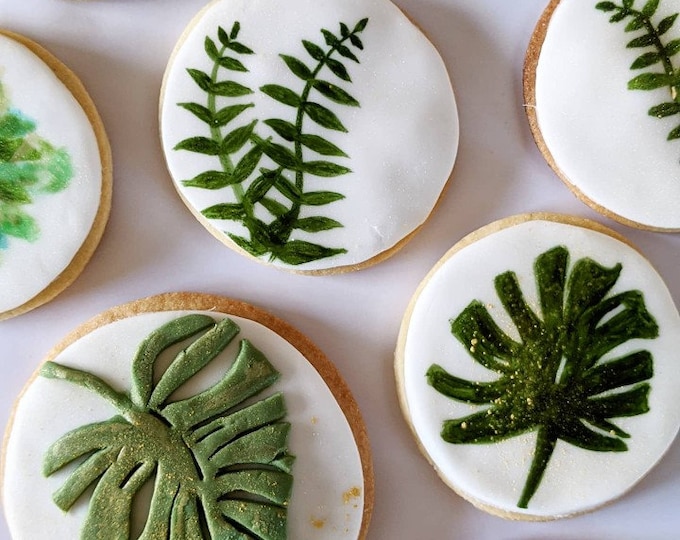 Personalised Hand Iced House Plant Biscuit Gift, Housewarming Gift -Vegan Available