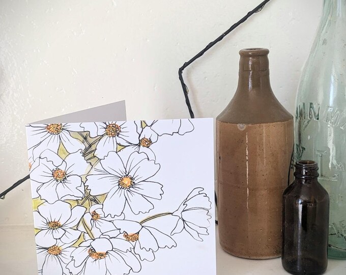 White Cosmos Wild Flower Greetings Card with Wild Flower Seeds  - Blank Card