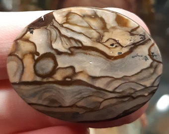Natural Gemstone US Biggs Picture Jasper Cabochon Pair New 17x12x3mm 1.8g Y5947