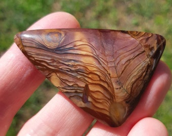 Natural Gemstone US Biggs Picture Jasper Cabochon Pair New 17x12x3mm 1.8g Y5947