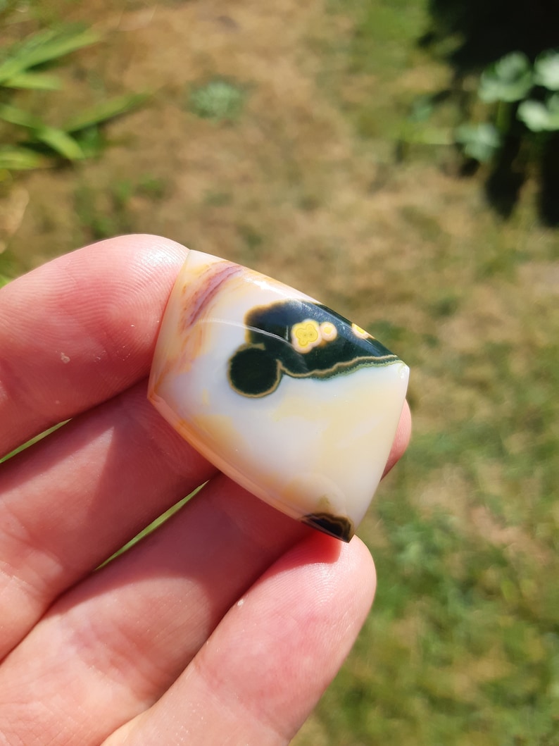 Orbicular Jasper Madagascar Ocean Jasper Cabochon