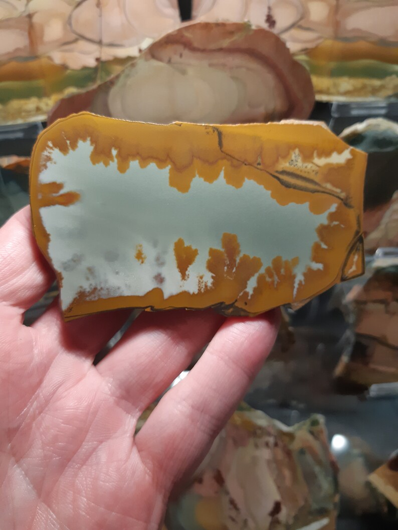 Polished Picture Jasper Specimen Owyhee Landscape Jasper from Etsy
