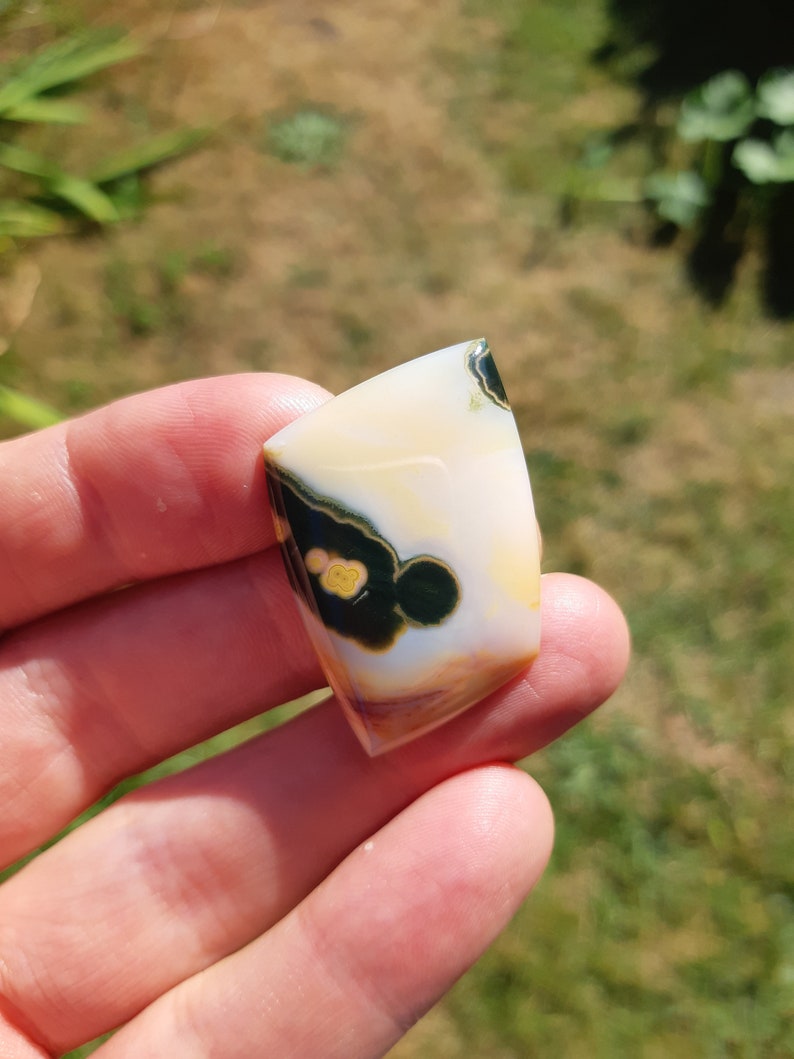 Orbicular Jasper Madagascar Ocean Jasper Cabochon