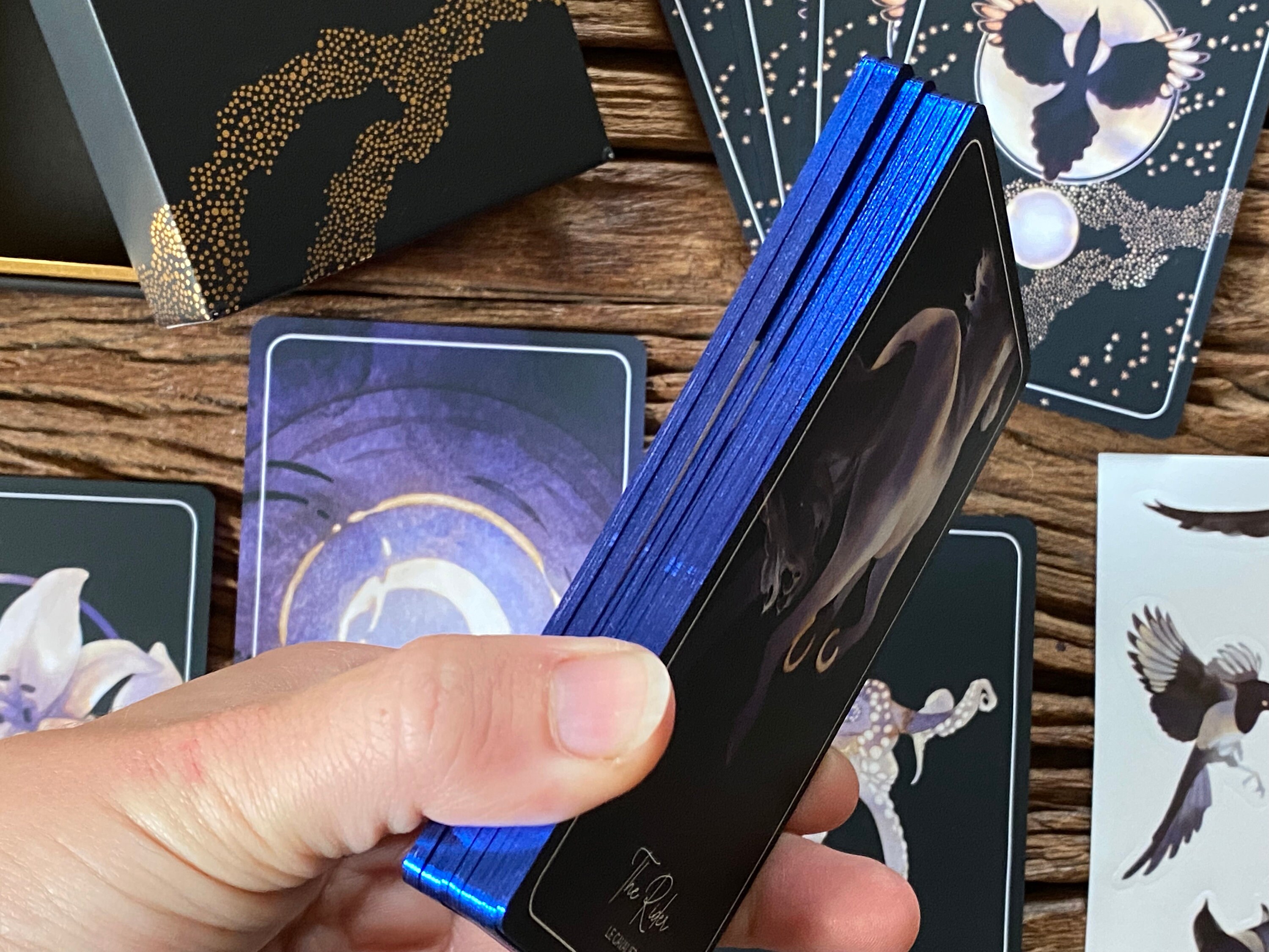 The Magpie Lenormand - Etsy