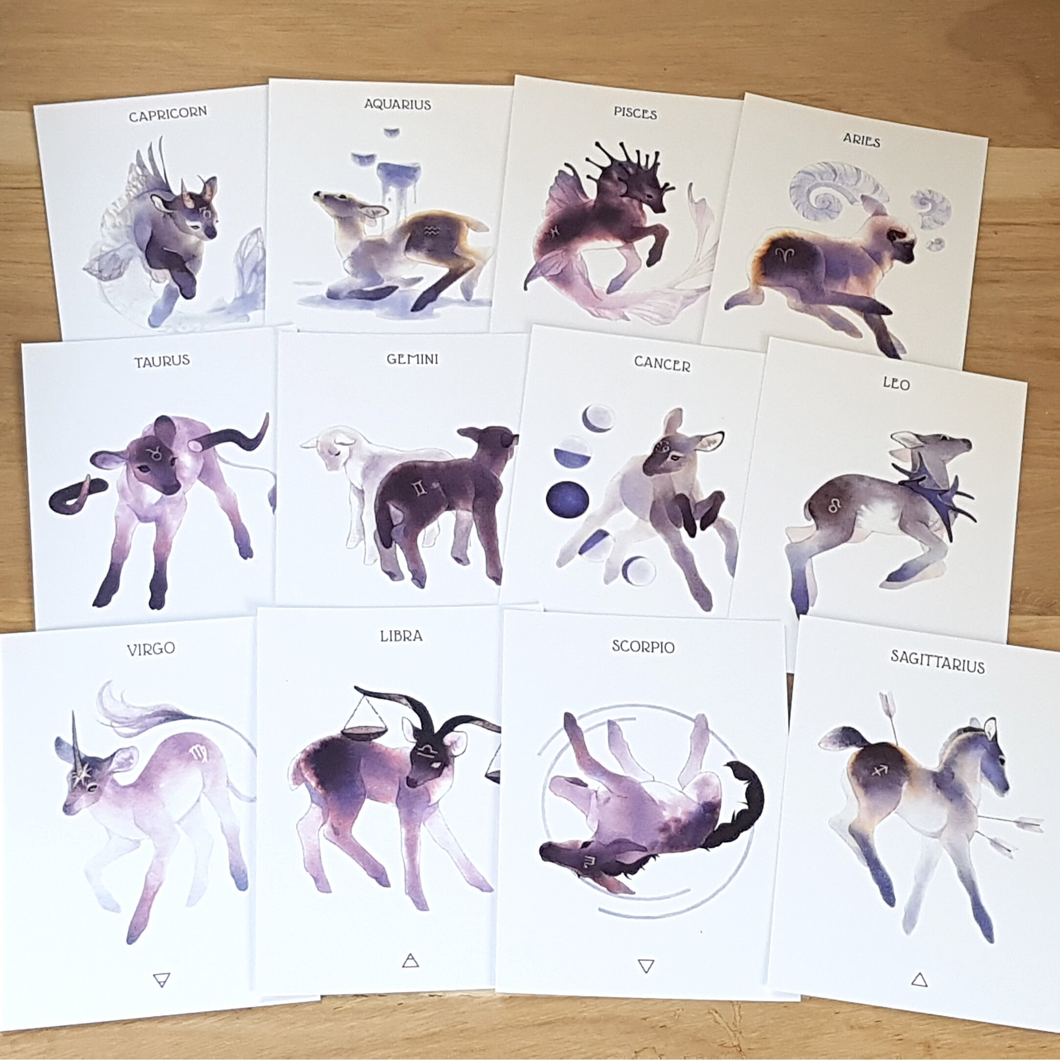 Zodiac (complete set)