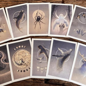 Peut inclure: Une collection de dix tirages d'art rectangulaires illustrant des animaux tels qu'un corbeau, un requin, une araignée, un hibou, des hirondelles, un squelette de serpent, un pangolin, une baleine et un cerf, sur fond neutre avec un cercle blanc.