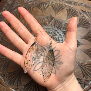 Fairy wing earrings, gold transparent, butterfly wings