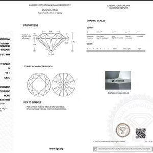 6mm 1ct Diamant Ohrstecker funkelnde Edelsteine Round-Cut Elegant Schmuck Zubehör Echte Moissanite oder Diamant Ohrringe für Weihnachten Bild 10