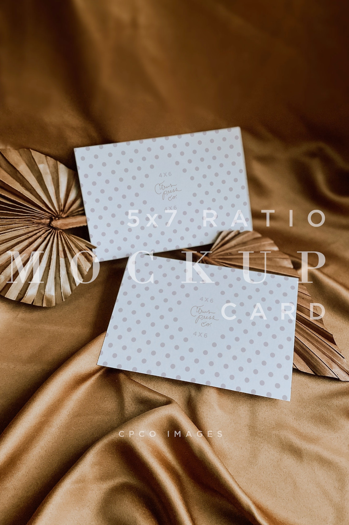 Double Sided Card Mockup Minimal Mock Up Dried Palm Etsy