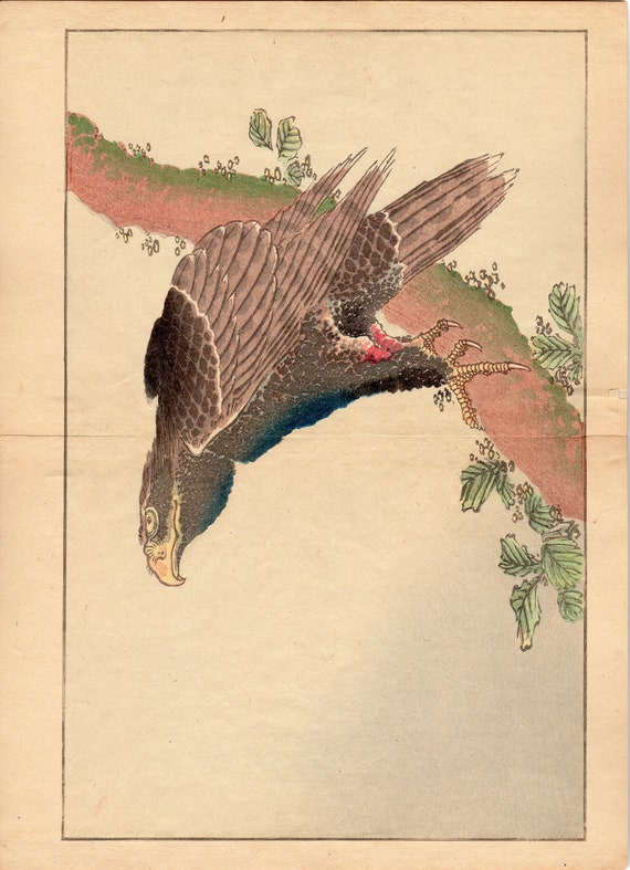 Japanese Japan Eagle Print 1880 1890 1900 1910 Bird Flight Avian