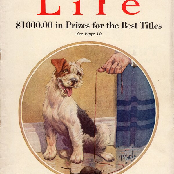 Original Vintage Life Magazine Cover Dog Canine Wire Haired Terrier Asta Skippy Mutt 1924 Mouse Puppy Robert L. Dickey Illustrator