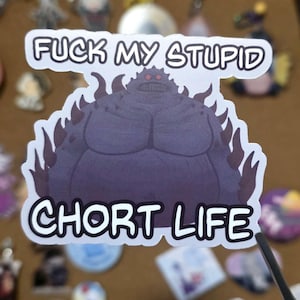 Puede incluir: Una pegatina con un monstruo de dibujos animados morado y el texto "FUCK MY STUPID CHORT LIFE" en letras blancas. El monstruo tiene una expresión amenazante y está rodeado de llamas.