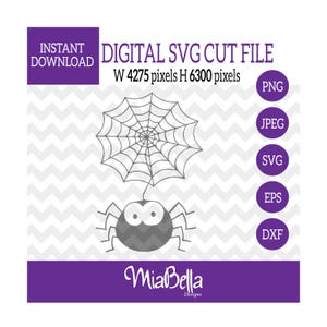 Ragnatela con simpatico ragno penzolante, file di taglio digitale (svg png dxf eps zip jpeg) Silhouette Cameo/Cricut, incisori laser e stampanti 3D