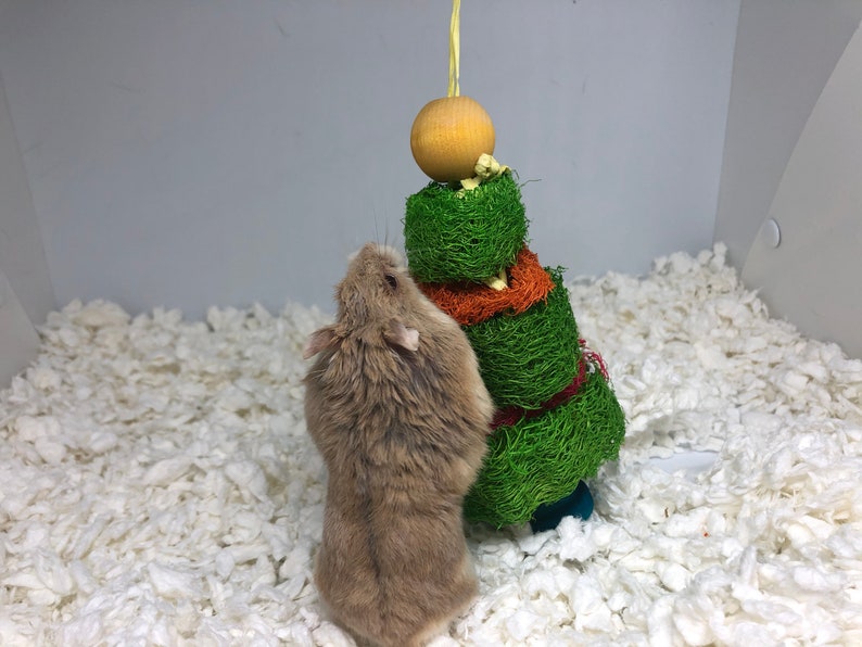 Hamster FunBox Holiday Edition