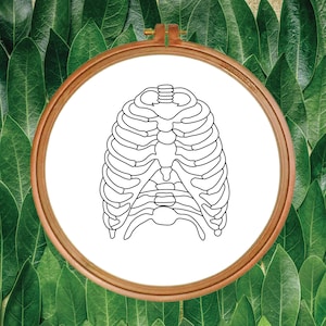 Rib Bones Embroidery Pattern | Biology and Anatomy Skeleton | Beginners Intermediate Advanced | Wall Hoop Fiber Art | DIY Pattern