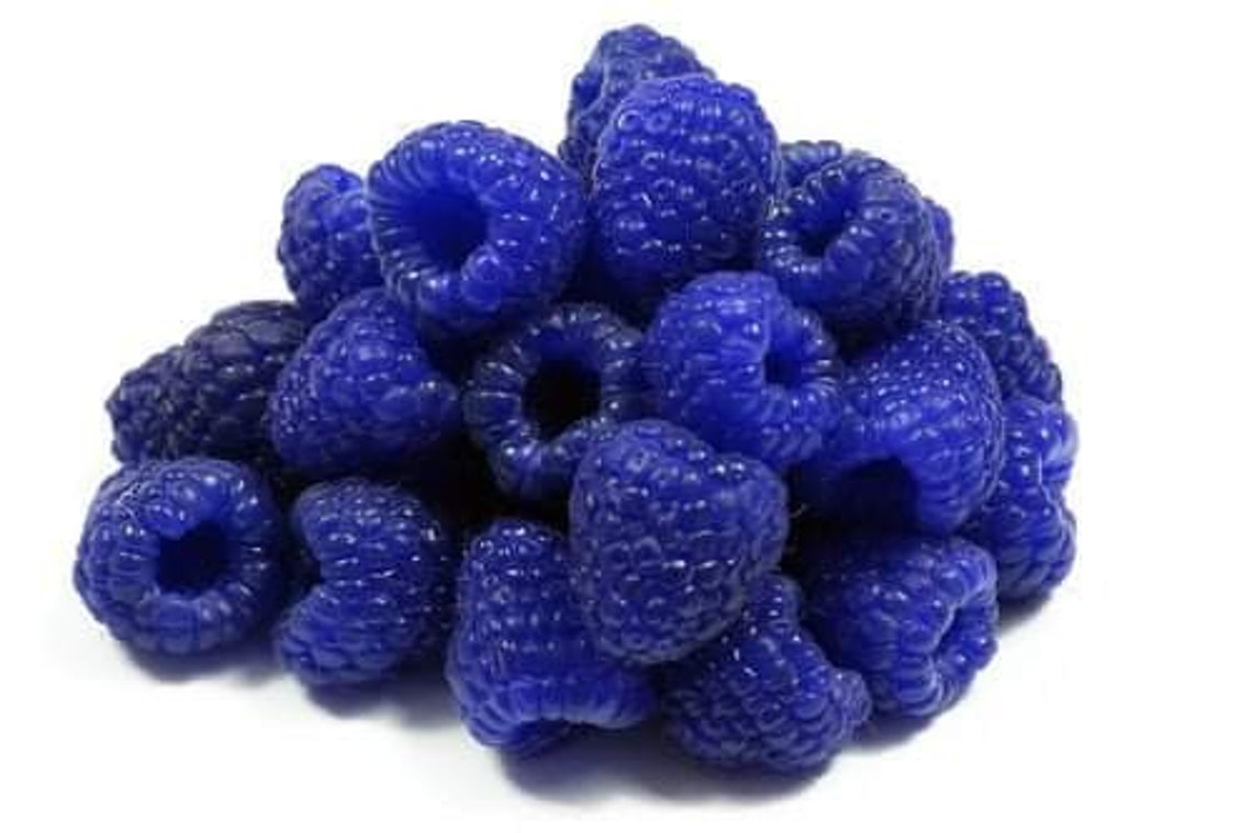 50 Pcs Blue Raspberry Seeds Rubus Idaeus Etsy