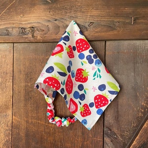 Bandana Head Scarf, Hair Bandana, Triangle Head Scarf, Children and Adult, Fruit Headscarf