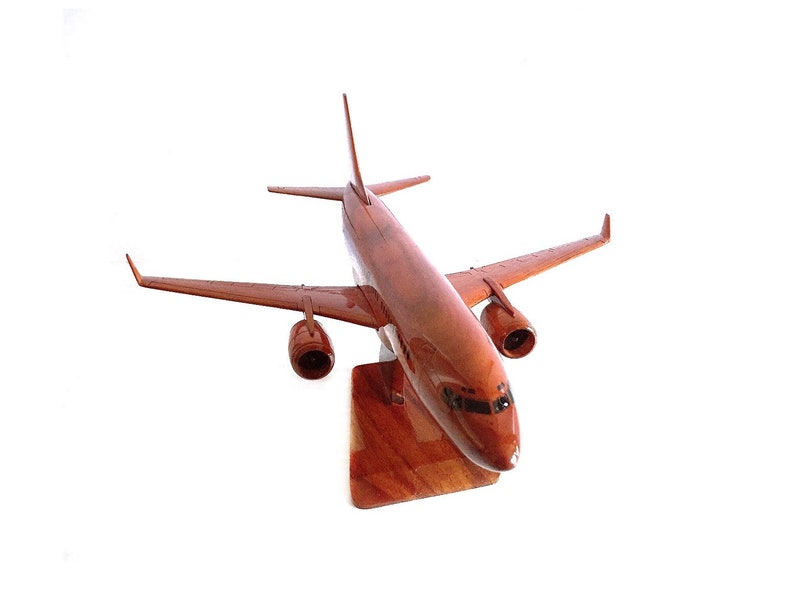 Boeing 737 airplane model 18x14x7 Gift for pilot Gift for airplane lovers image 7