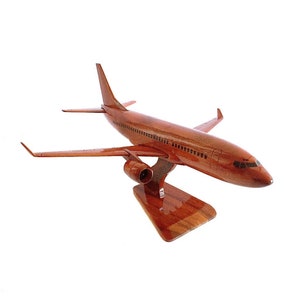 Boeing 737 airplane model 18x14x7 Gift for pilot Gift for airplane lovers image 1