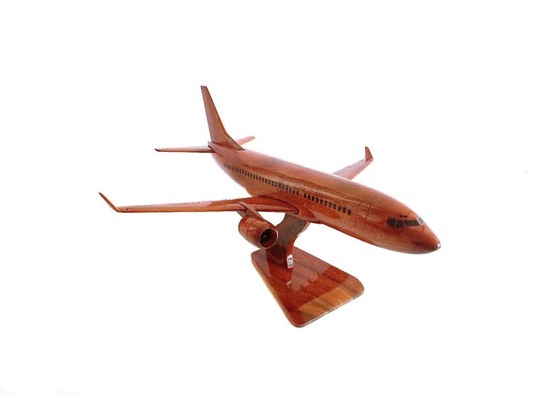 Boeing 737 airplane model 18x14x7 Gift for pilot Gift for airplane lovers image 1