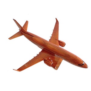 Boeing 737 airplane model 18x14x7 Gift for pilot Gift for airplane lovers image 3