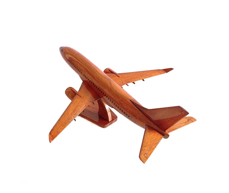 Boeing 737 airplane model 18x14x7 Gift for pilot Gift for airplane lovers image 2