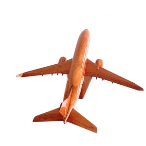 Boeing 737 airplane model 18x14x7 Gift for pilot Gift for airplane lovers image 4