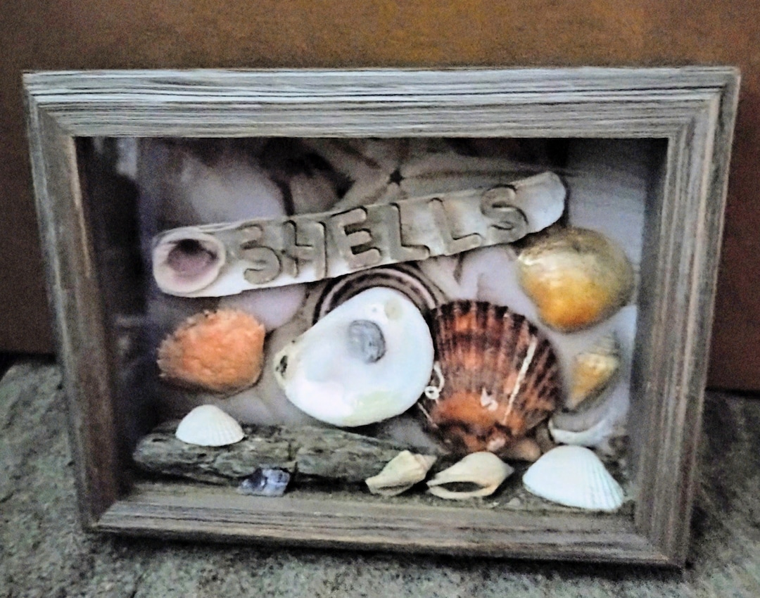 SHELLS Shadow Box - Etsy