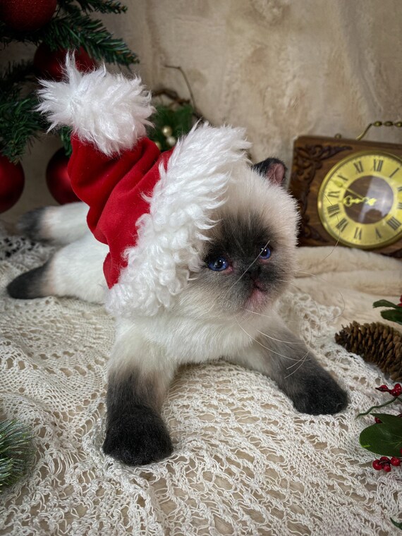 Chaton De Precommande Chat Siamois Bourre Chaton De Fausse Etsy Canada