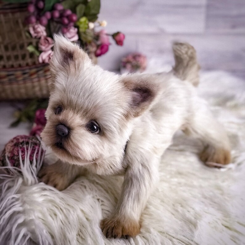 Stuffed yorkie dog golddust yorkshire terrier lifelike Etsy