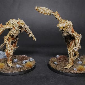 May include: Two detailed miniature figures of skeletal creatures, posed on textured bases with small rocks and dried grass. The figures are painted in bone and tan colors with orange accents, set against a dark background. These are likely for tabletop gaming or display.