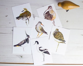 Box-set of six waders and shorebirds illustrated postcards