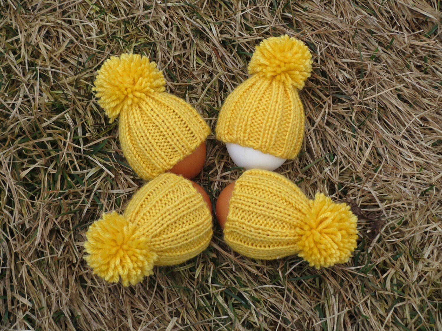 Set of 4 Wool Egg Warmers Easter Egg Cozy Hostess Gift Kids Etsy