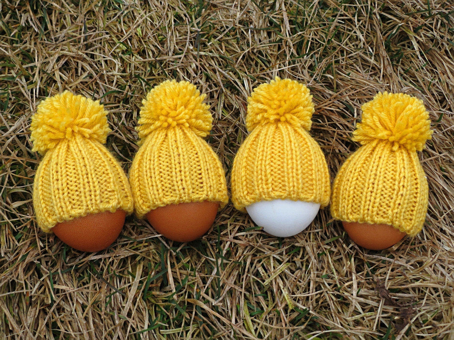 Set of 4 Wool Egg Warmers Easter Egg Cozy Hostess Gift Kids Etsy