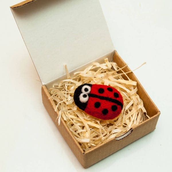 Ladybug brooch, ladybird pin, ladybird gifts