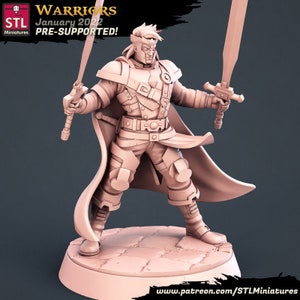 Krijger Vechter Paladijn Soldaat Held Zwaard PC 28mm 32mm 75mm ∞ Tafelspellen ∞ D&D Dungeons and Dragons ∞ Wargaming ∞ Pathfinder