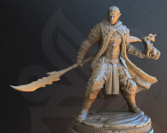 Elf Half-elf Tovenaar Krijger Tovenaar Vechter 28mm 32mm 75mm ∞ Tafelspellen ∞ D&D Dungeons and Dragons ∞ Wargaming ∞ Pathfinder