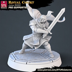 Königliche Garde Ritter Krieger Kämpfer Rüstung / Königlicher Hof Pack 28mm 32mm 75mm ∞ Tabletop Spiele ∞ D&D Dungeons and Dragons ∞ Pathfinder