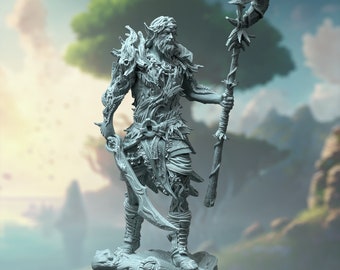 Male Elf Elven Half-elf Druid Hermit Wizard Sorcerer Staff  Magician ∞Tabletop Games ∞ D&D Dungeons and Dragons ∞ Wargaming ∞ Pathfinder