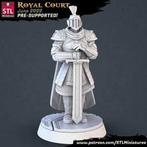 Königliche Garde Ritter Krieger Kämpfer Rüstung / Königlicher Hof Pack 28mm 32mm 75mm ∞ Tabletop Spiele ∞ D&D Dungeons and Dragons ∞ Pathfinder