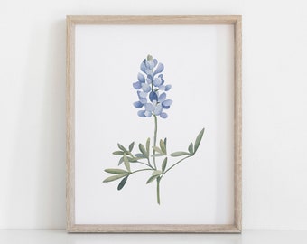 Bluebonnet Watercolor Art Print | Texas State Flower Painting