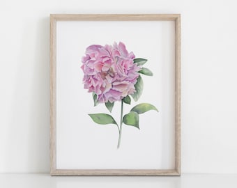 Pink Peony Watercolor Painting | Floral Wall Art Print