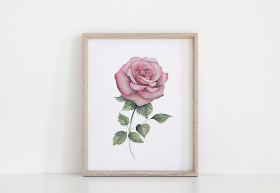 Watercolor Pink Rose Art Print | Floral Wall Decor