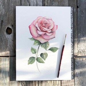 May include: A watercolor painting of a single pink rose with green leaves on a white background. The rose is in full bloom and has a delicate, romantic feel.