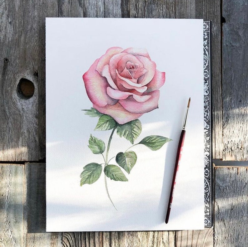 May include: A watercolor painting of a single pink rose with green leaves on a white background. The rose is in full bloom and has a delicate, romantic feel.