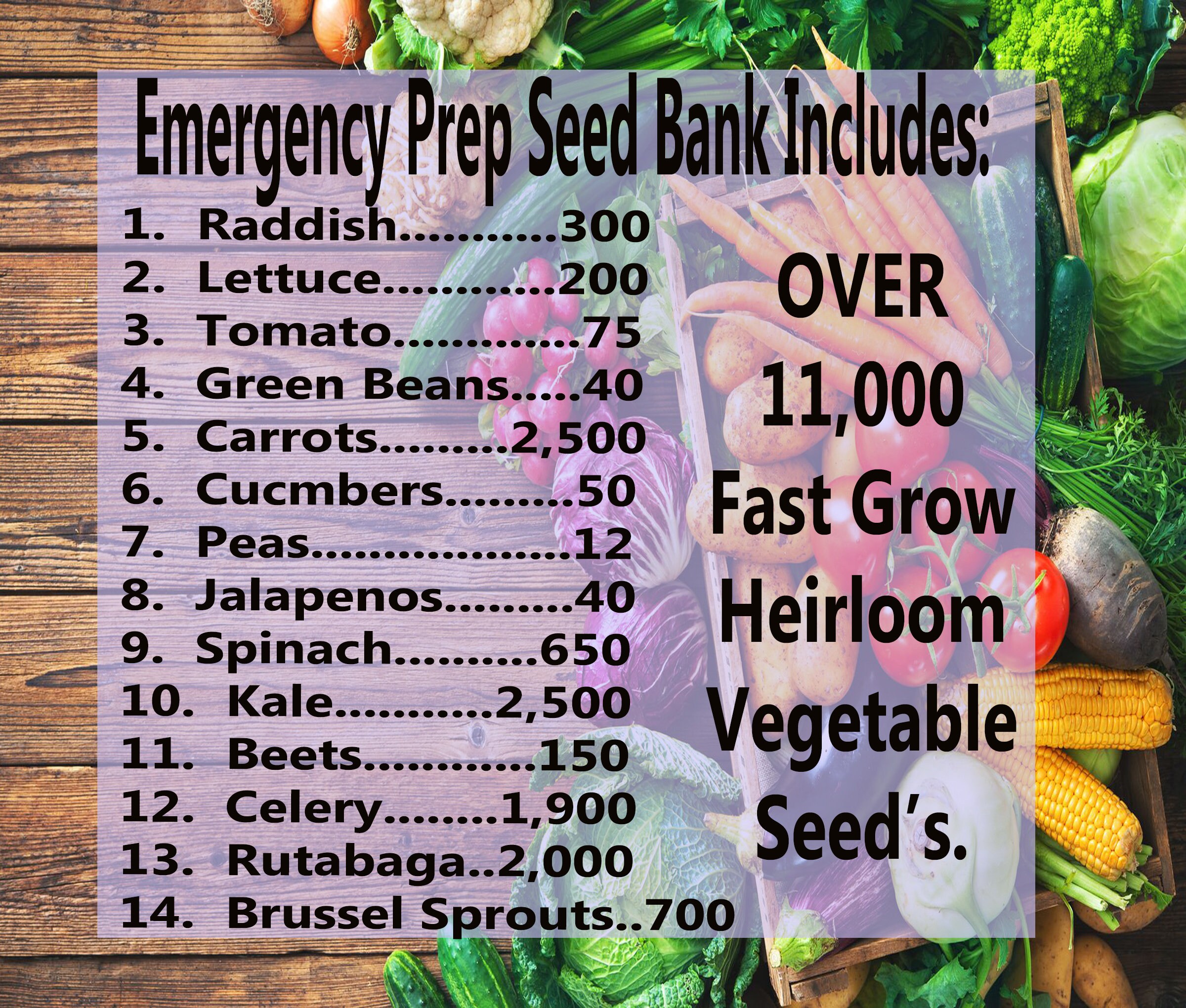  Cress Seeds, 200+ Upland, Heirloom, Non GMO Seeds, Barbarea  Verna : Patio, Lawn & Garden