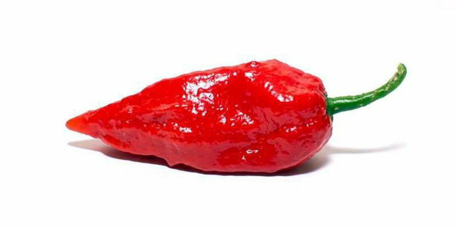 30 Heirloom Super-hot Ghost Bhut Jolokia Red Pepper Seeds 2023 High ...