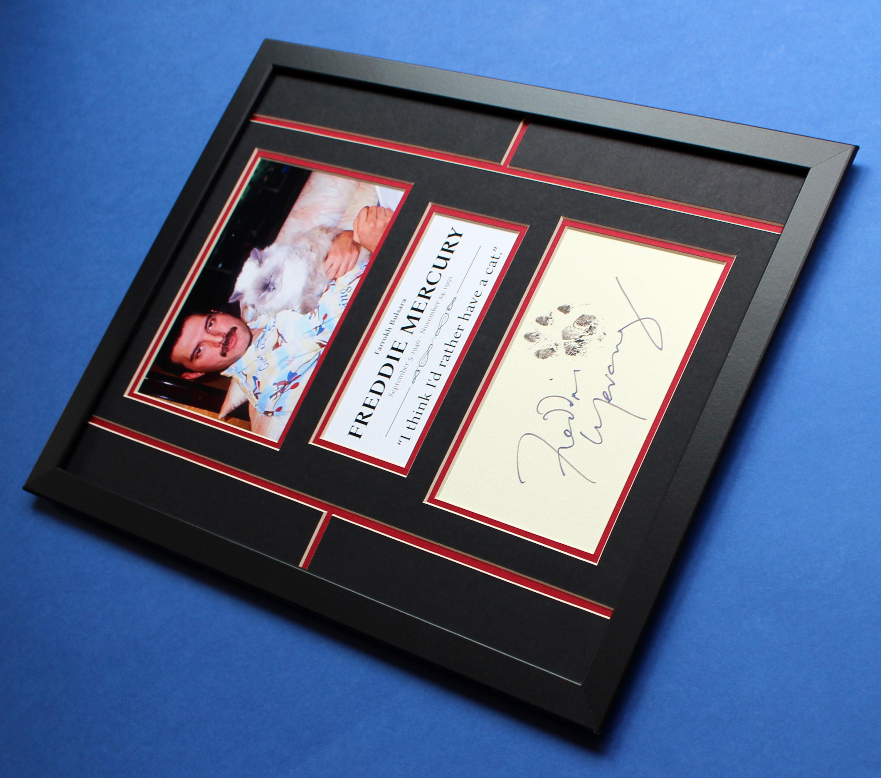 Freddie Mercury & Cat AUTOGRAPH DISPLAY CASE Unique Artwork Cat Love ...