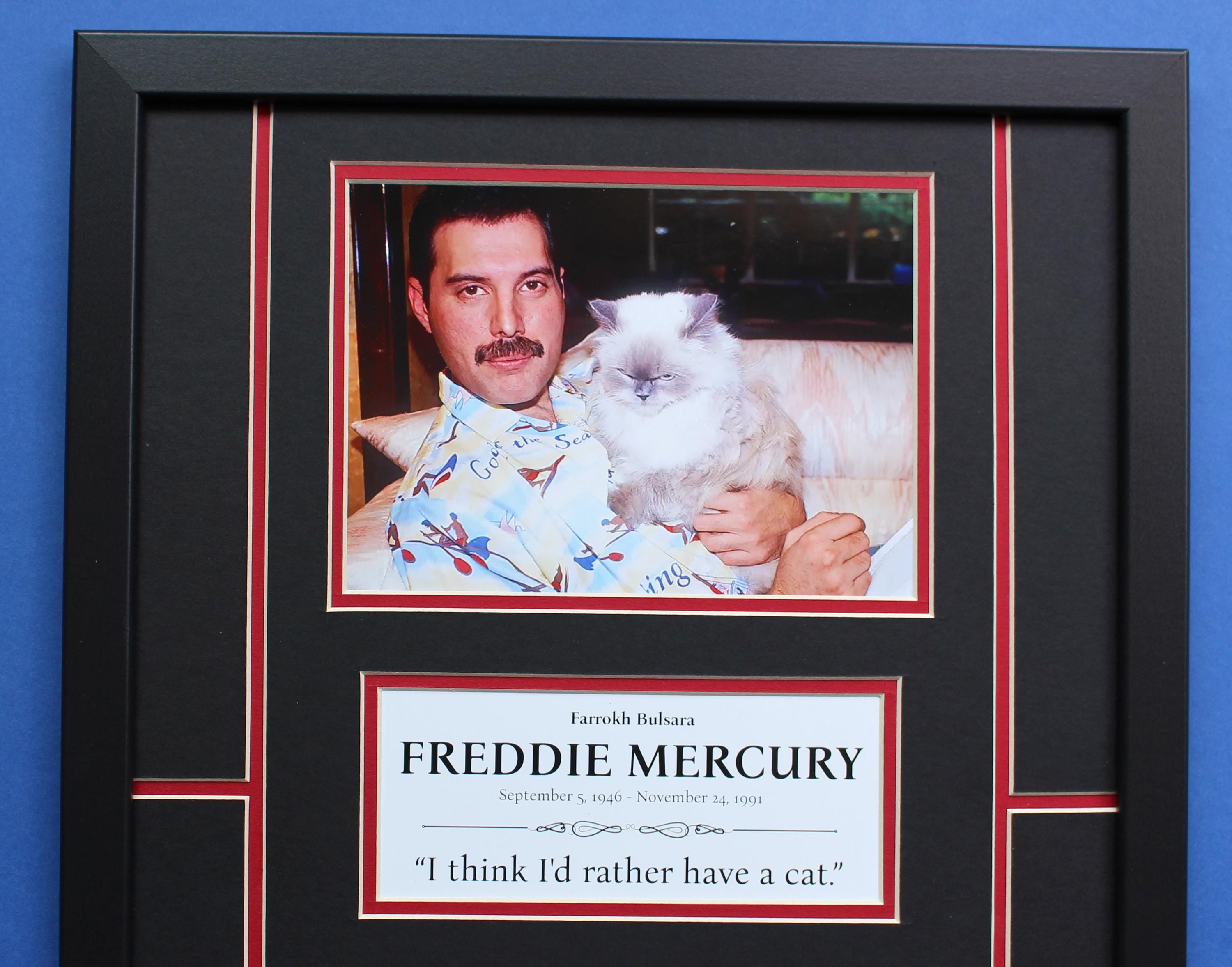 Freddie Mercury & Cat AUTOGRAPH DISPLAY CASE Unique Artwork Cat Love ...