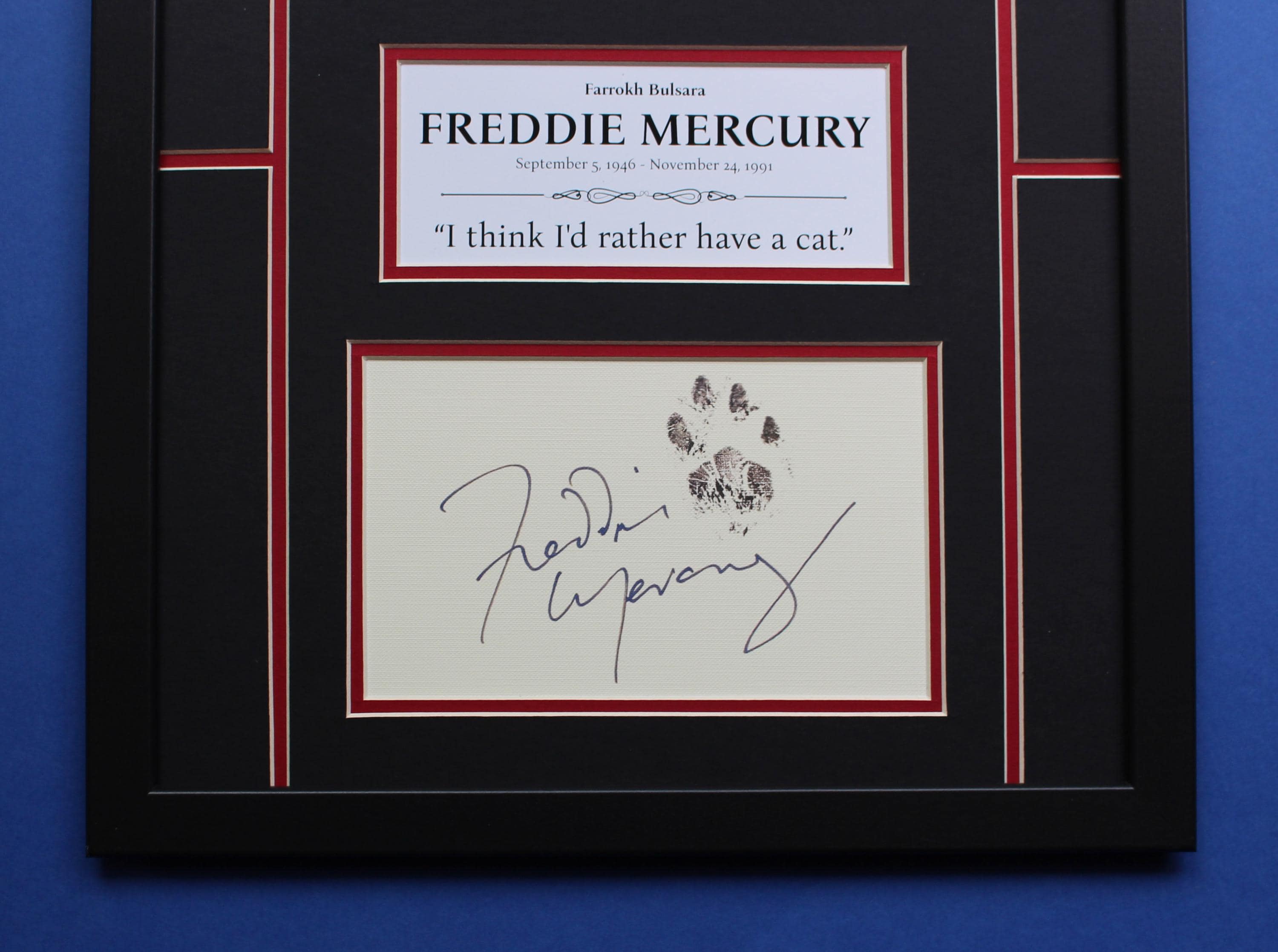Freddie Mercury & Cat AUTOGRAPH DISPLAY CASE Unique Artwork Cat Love ...